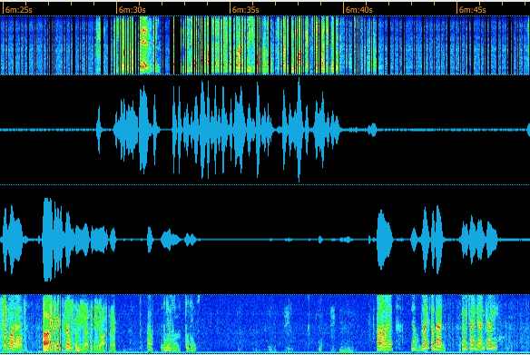 Cdr spectral silence example.png